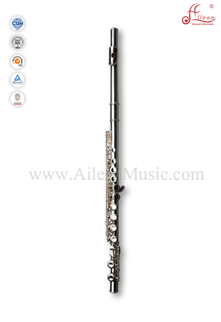 Professional 16 Hole Silver Plated Best Student Flute (FL4011S)