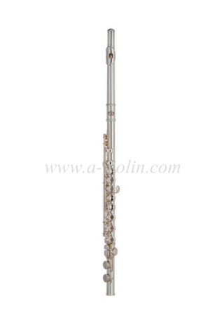 [Aileen] Student model Open hole French style flute (FL4312N-E)