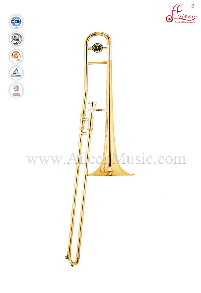 Professional Alto Trombone With ABS Case Or Soft Bag (TB9002G) Aileen