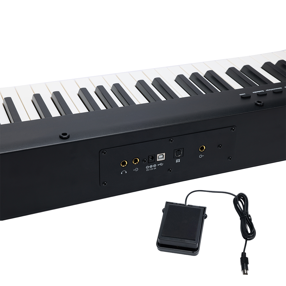 Electric Piano manufacturers, Electric Piano wholesaler Aileen Music