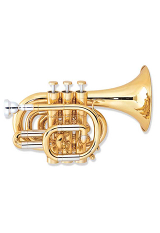 C Key High Grade Pocket Trumpet(HTP-H460G-SYY)
