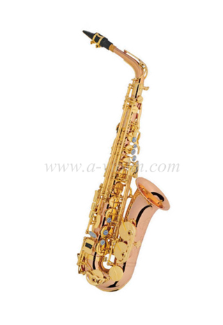 Alto Saxophone ( Advanced student model)- Y style (SP1012R-G)